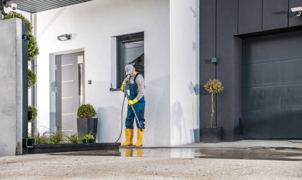 Best Soft Washing  in Rendon, TX